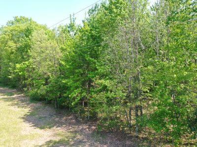 Evergreen Ave, Saint Croix Falls, WI, 54024