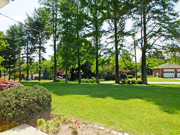 View From Porch