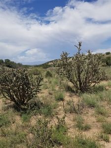 154 Paseo Sudeste, Cerrillos, NM, 87010