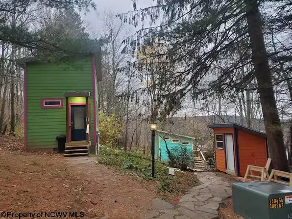 142 Jacob Pase St, Thomas, WV 26292