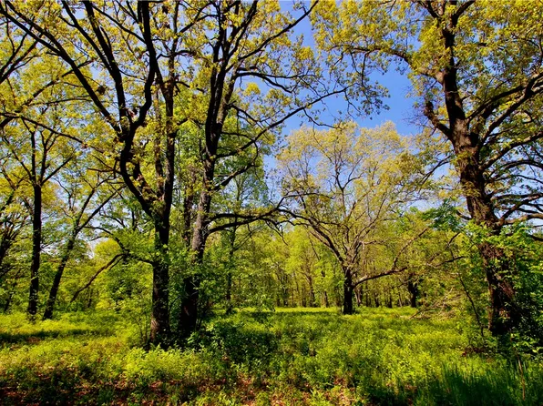 0 Garner Ln, Berryville, AR 72616