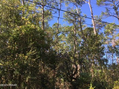 0 3rd Ave, Deland, FL, 32724