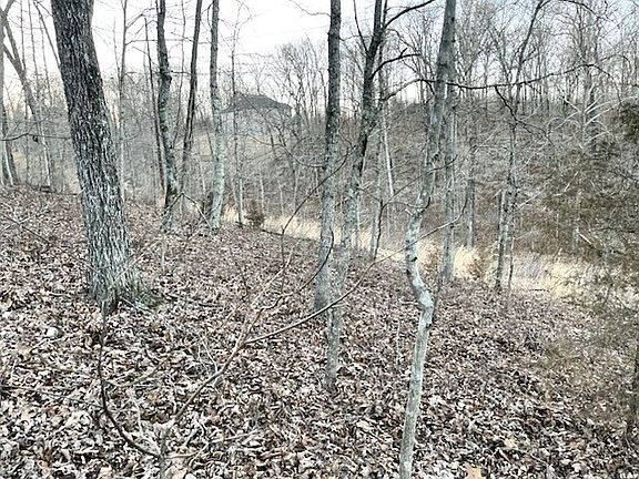 4th image of Lots 19 & 20 Tudor Lane 19&20