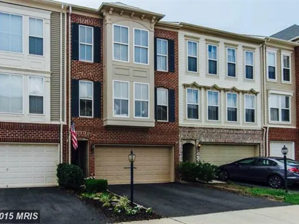23421 Spice Bush Ter, Ashburn, VA 20148