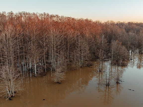 4th image of 0 Dyersburg Hwy