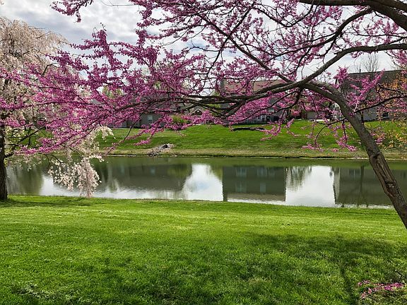 Back Pond View (Spring) 1