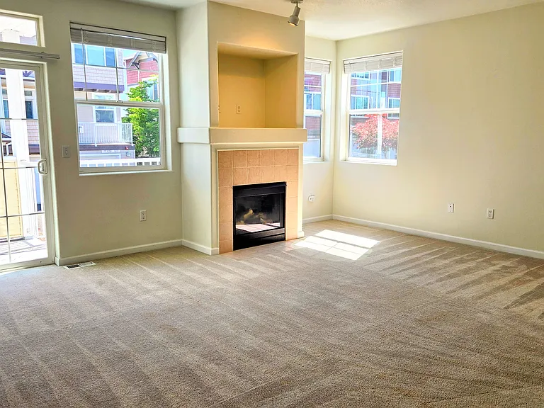 Large and Bright Living Room