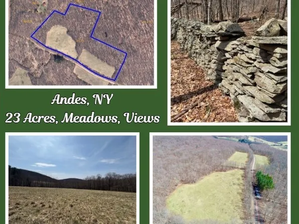 2 Doig Hollow Rd, Andes, NY 13731