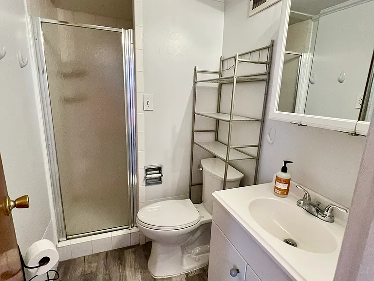 Basement Bathroom.