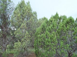 7937 N Perrin Ln, Williams, AZ 86046