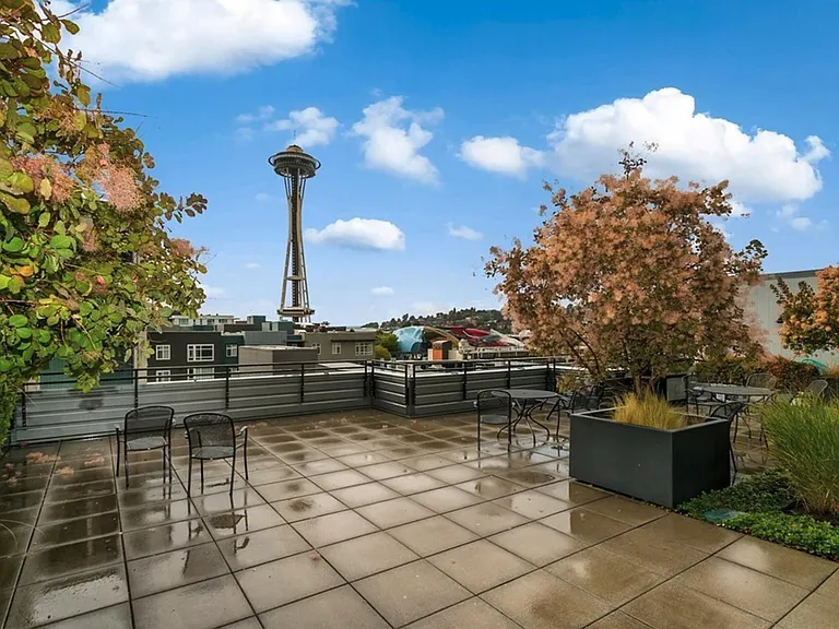 rooftop terrace