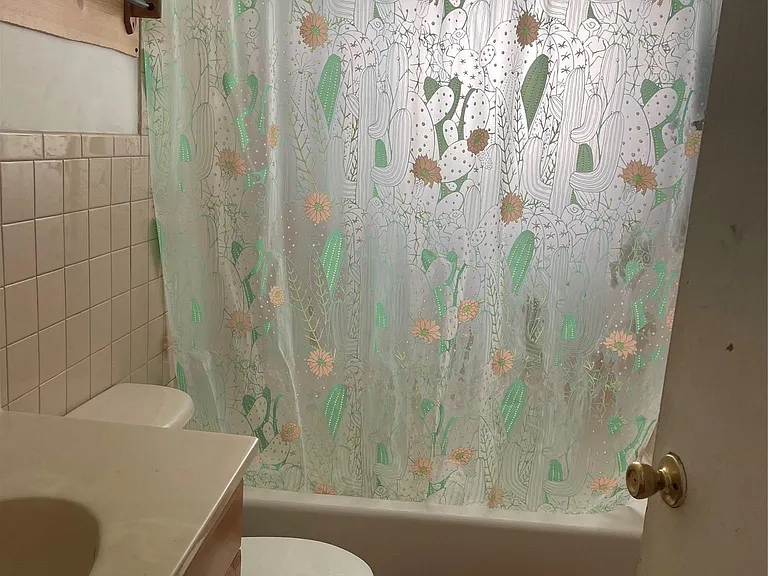 196 Carson Ave — Photo 4