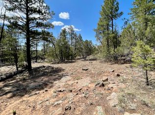 34 Vulcan Ridge Rd, Grants, NM 87020