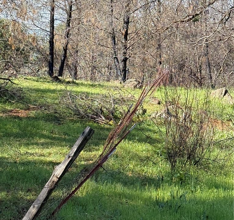 2nd image of 522 Galen Ridge Rd