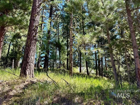 699 N Samson Trl, McCall, ID 83638