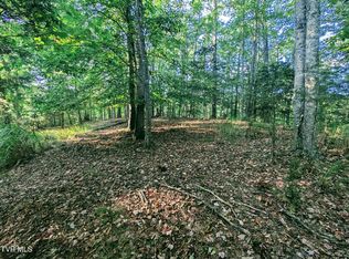 Blowing Rock Rd, Haysi, VA 24256