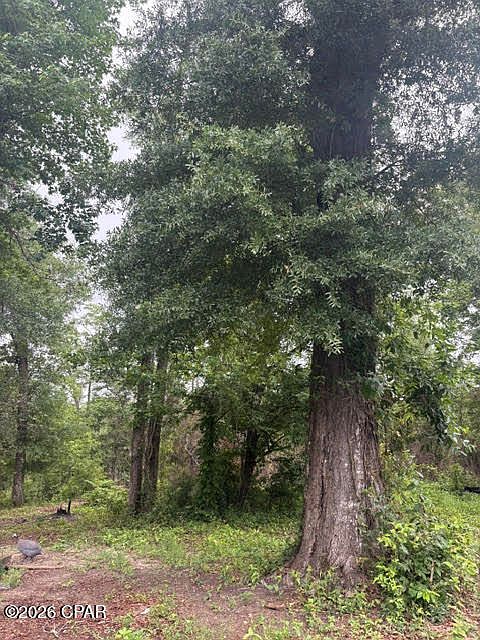1st image of 2435 Douglas Pond Rd