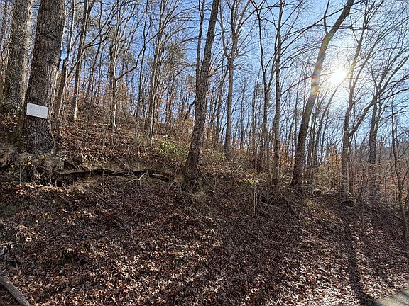 2nd image of 497 Avondale Hollow Rd Lot 0