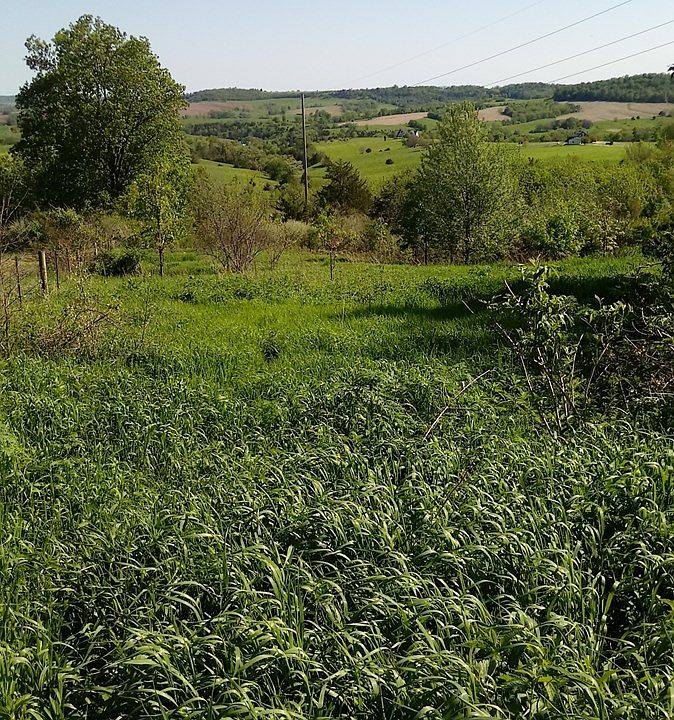2nd image of Tbd S Clark Ln