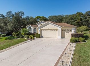 411 Mistwood Ct, Spring Hill, FL 34609