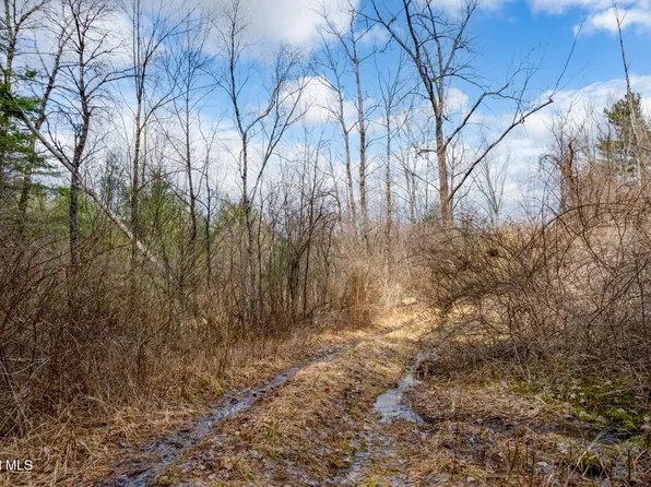 L3 McGill Road, East Nassau, NY 12062