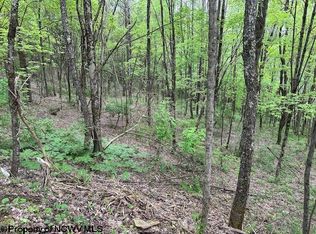 Moyer Hollow Rd, Elkins, WV 26241