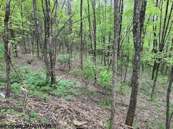 Moyer Hollow Rd, Elkins, WV 26241