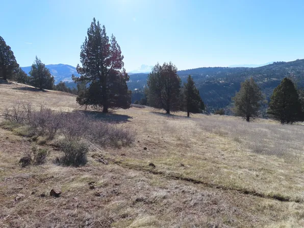 474 Erick Ln, Hornbrook, CA 96044