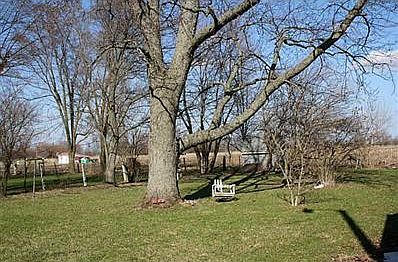 Yard.