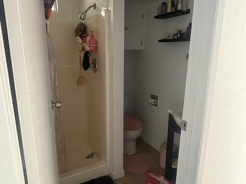 bathroom 
shower no tub