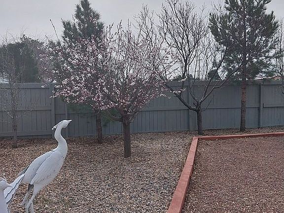 2nd image of 3756 E Lum Ave