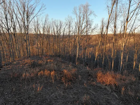 0 Foggy Mountain Ln Lot 4, Bradyville, TN 37026