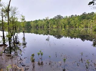 2273 Pleasant Hill Rd, Portal, GA 30450