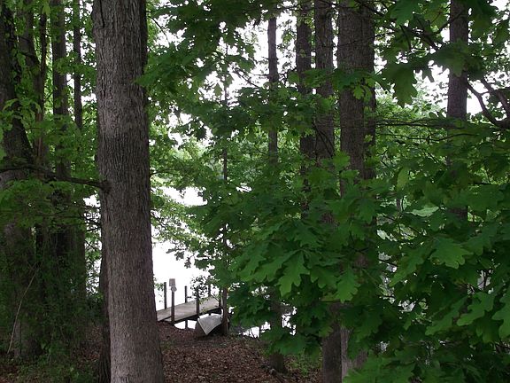 3rd image of 241 Country Dr
