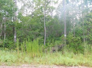 2530 Larkspur Ave, Middleburg, FL 32068