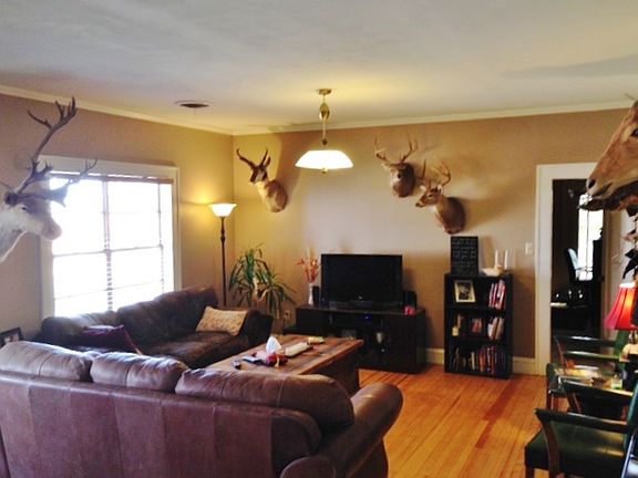 3rd image of 3037 County Road 428