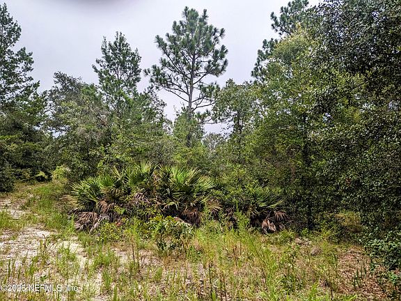 5th image of 5572 DEERLODGE Court