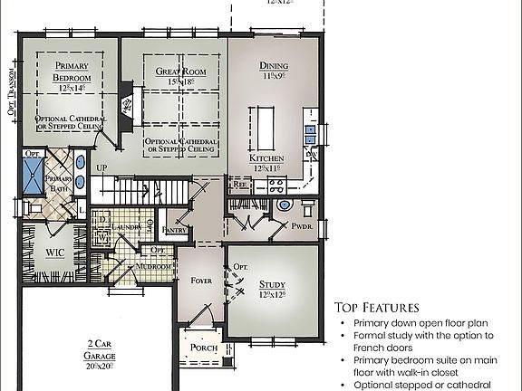 Oxford Primary Down - 1st Floor
