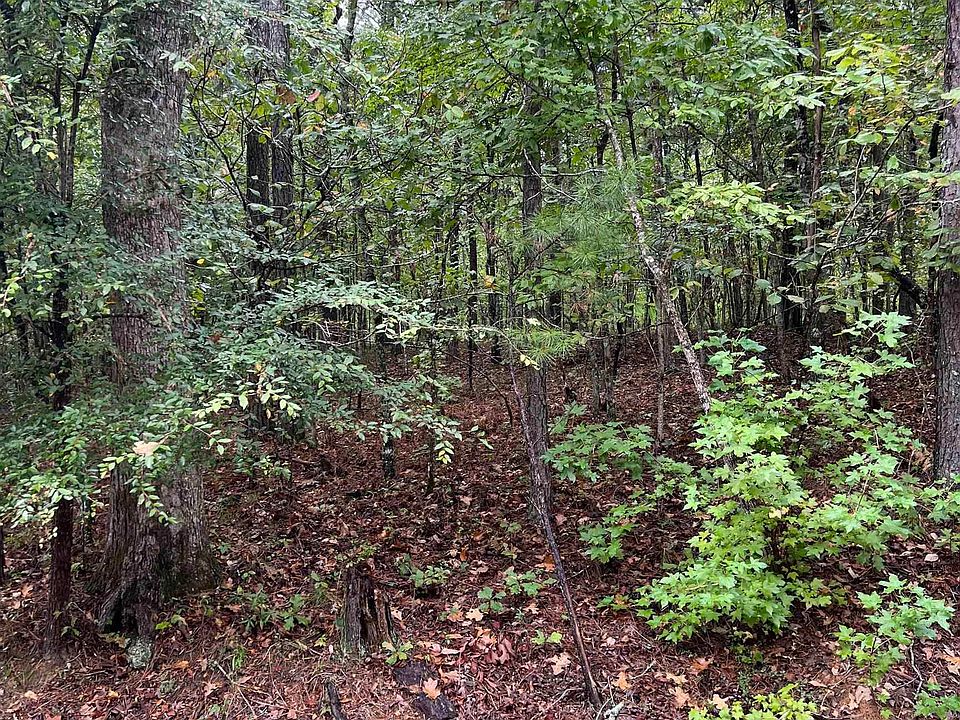 2nd image of 1231 Red Eagle Rd