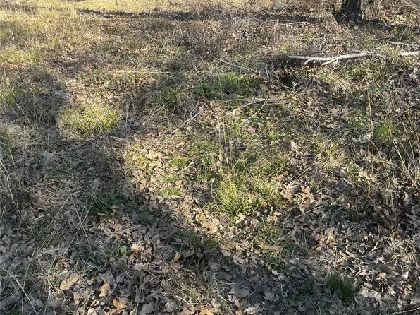 117 Inca Dr, Mabank, TX 75156