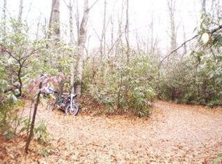 481 Rhododendron Park Rd, Burnsville, NC 28714