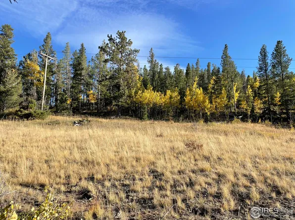 90 Kispoko Ct, Red Feather Lakes, CO 80545