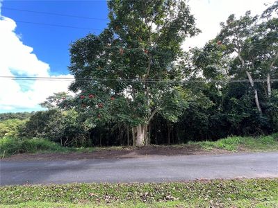 Quebrada Arenas Ward, Las Piedras, PR, 00771