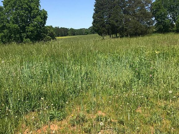 4th image of 531 Secrist Springs Ln