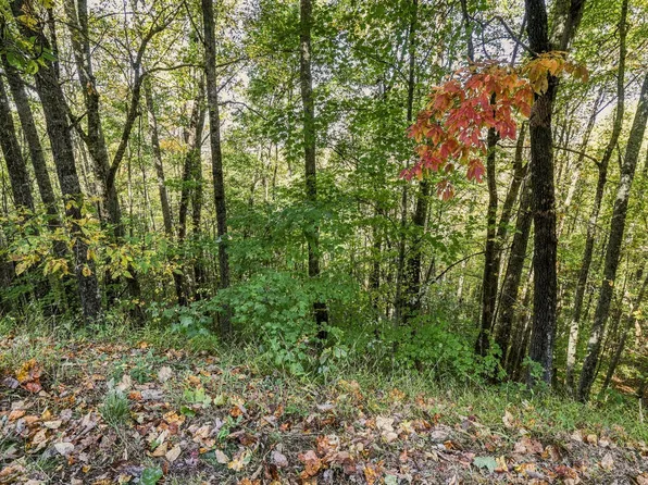 0 Featherstone Dr, Franklin, NC 28734