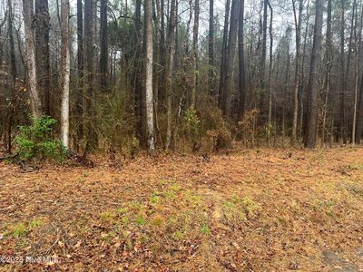 0 Reams Road, Spring Hope, NC, 27882