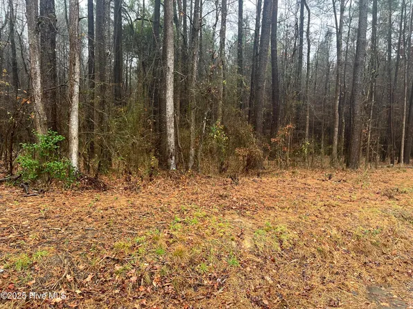 0 Reams Road, Spring Hope, NC 27882