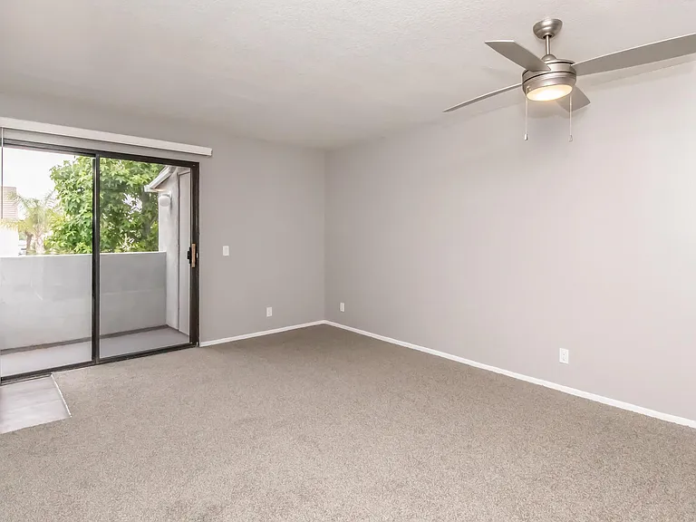 Palm Court Apartment Homes — Photo 19