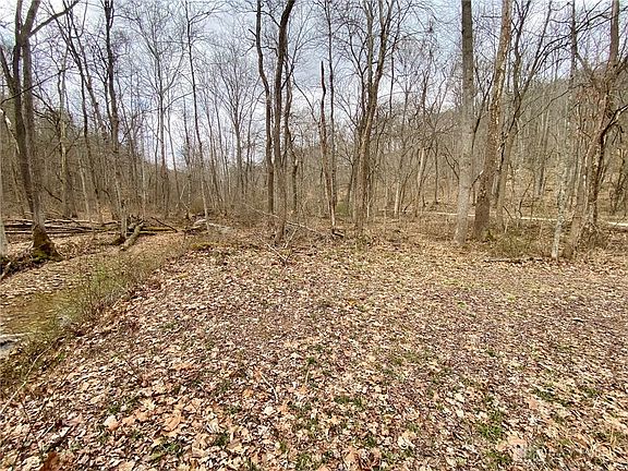 4th image of 20 Beech Fork Rd