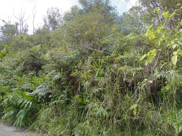 Hilohilo St Lot 17, Volcano, HI 96785